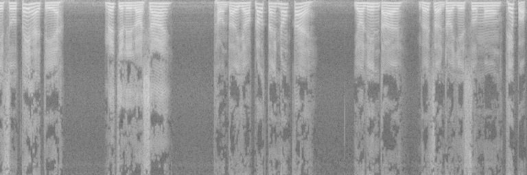Cropped spectrogram with warped frequency axis